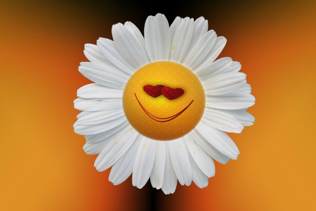 Blume lächelnd